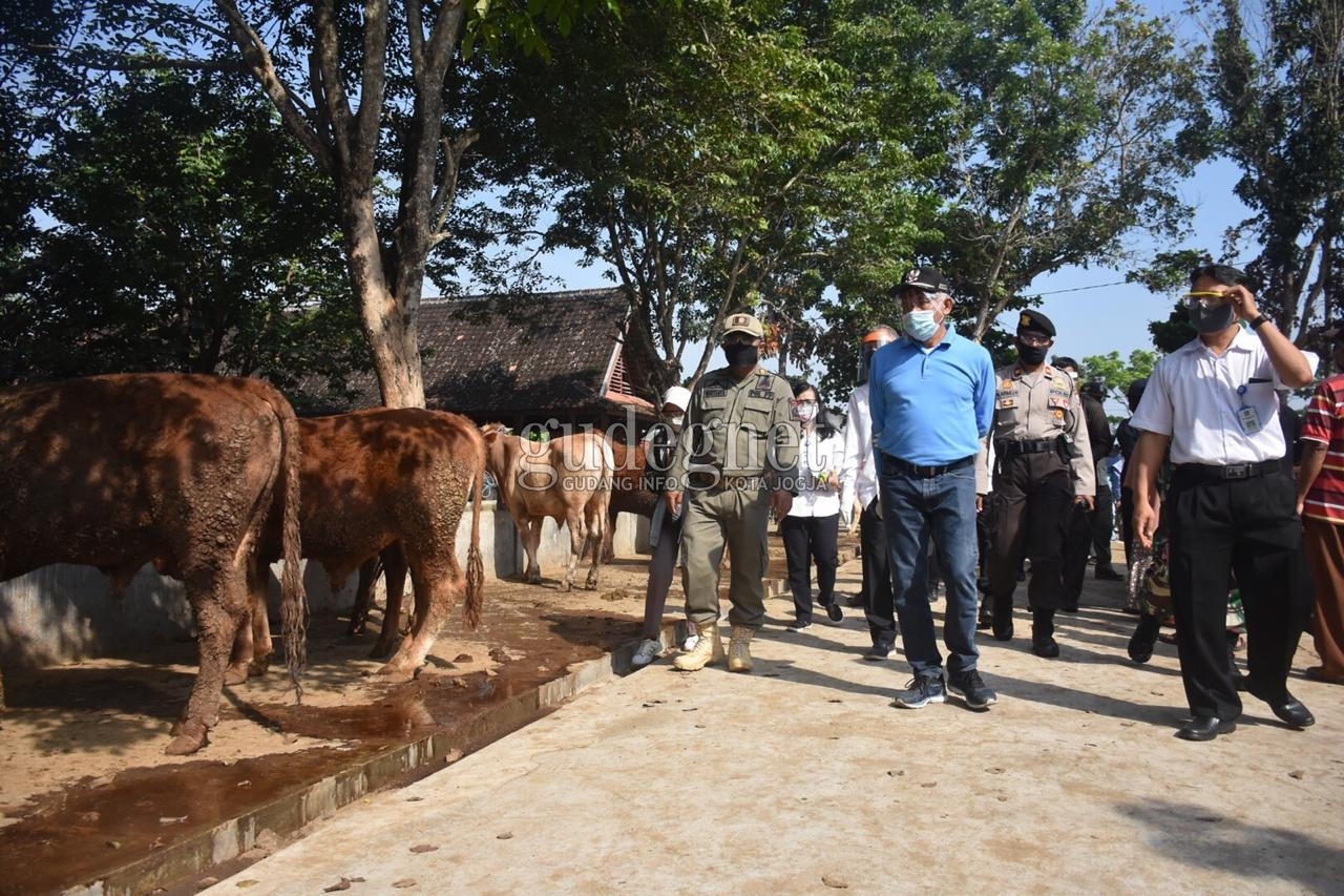 Ini Ketentuan dan Tata Cara Penyembelihan Hewan Kurban di Sleman