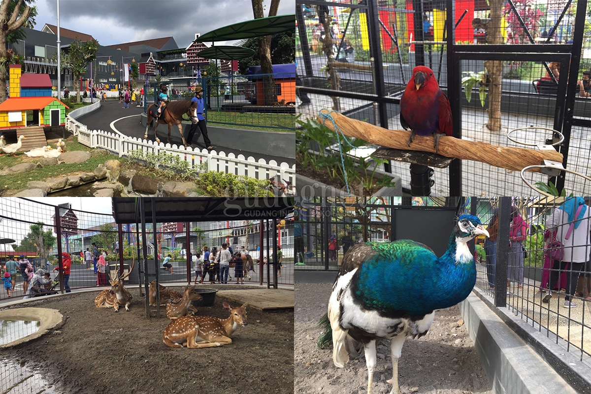 Ini Keseruan di Suraloka Zoo