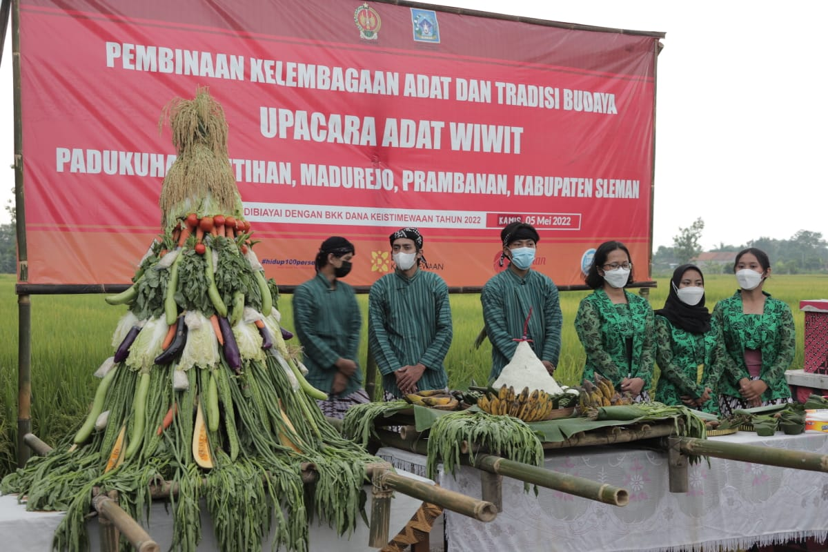 Wujud Syukur Jelang Panen Padi, Petani di Sleman Gelar Wiwitan Wujud Syukur Jelang Panen Padi, Petani di Sleman Gelar Wiwitan