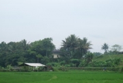 Bangkitnya Pesona Sabuk Menoreh