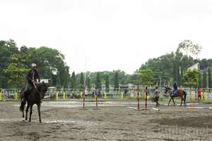 Yuk, Belajar Berkuda di D' Paragon Horse Riding Club