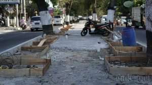 Akar Sudah Rawan, Pohon Tua di Jalan Suroto Ditebang