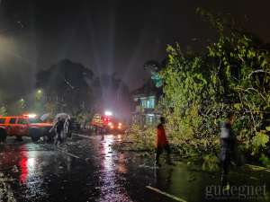 Senin Malam, Hujan dan Angin Kencang Akibatkan Pohon Tumbang 