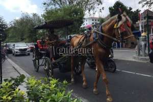 Prakiraan Cuaca Senin 5 Oktober 2020, Yogyakarta Berawan