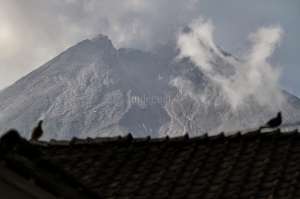 Merapi Keluarkan Guguran Lava 3.000 Meter, Ini Penjelasan BPPTKG