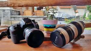 Ini 6 Situs untuk Hasilkan Cuan dari Foto Ini 6 Situs untuk Hasilkan Cuan dari Foto